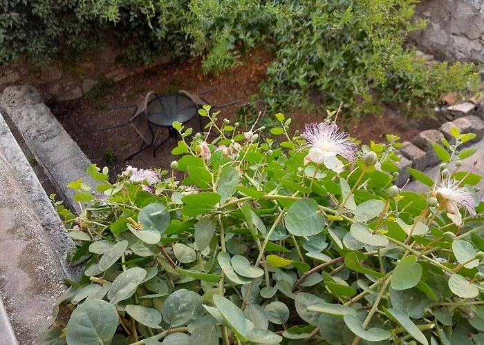 14647b לומבארדה